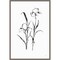 Line Iris Flower I by Chris Paschke 16-in. W x 23-in. H. Canvas Wall Art Print Framed in Grey